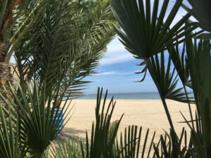 Playa de Agua Amarga