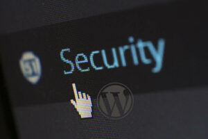 seguridad en WordPress