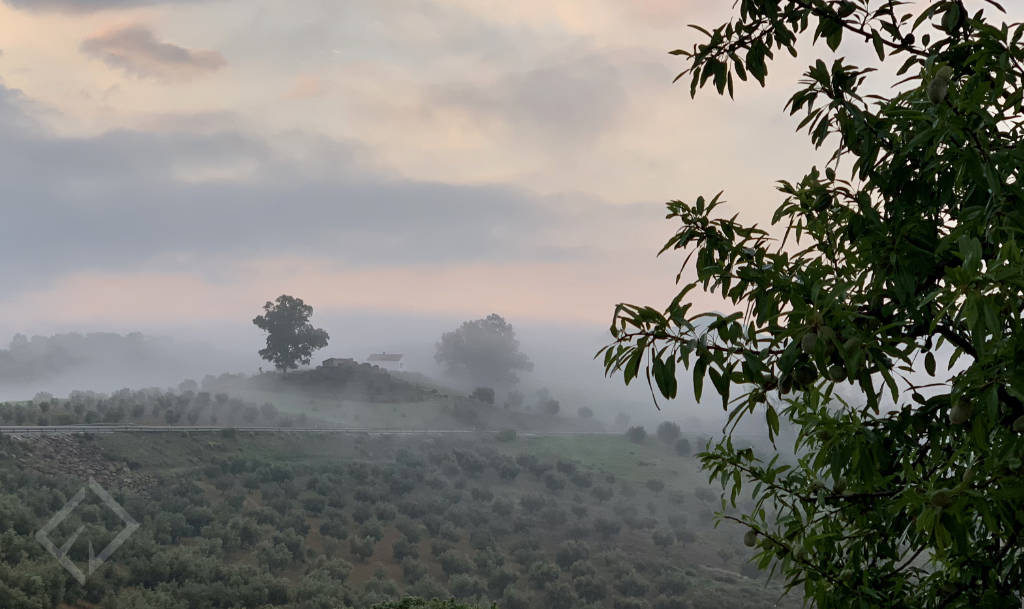 Niebla en paisaje alta Axarquía